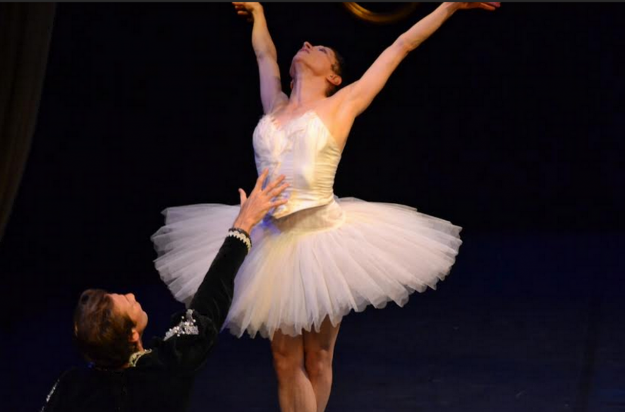 Marie-Pierre Genovese Le Cygne