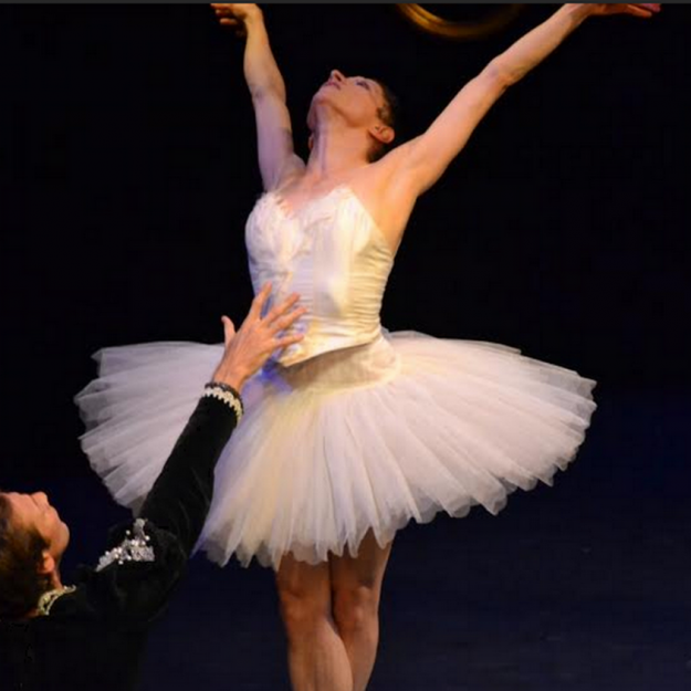 Marie-Pierre Genovese Le Cygne