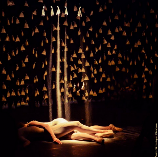 Marie-Pierre Genovese Les Passagers Magnan