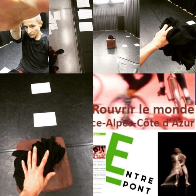 Marie-Pierre Genovese Rouvrir le monde Rajout