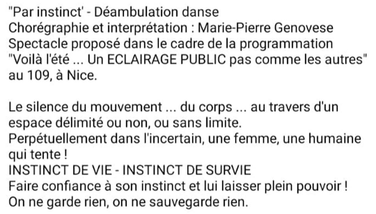 Marie-Pierre Genovese Déambulation Par InstinctMarie-Pierre Genovese Par Instinct