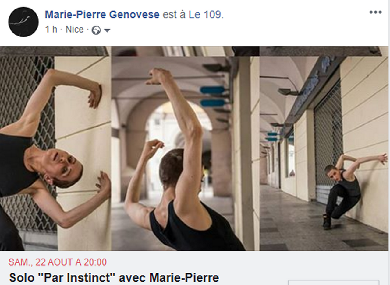 Marie-Pierre Genovese Déambulation Par Instinct