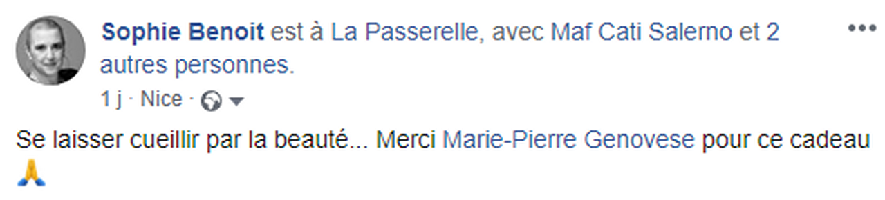 Marie-Pierre Genovese La Passerelle