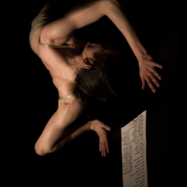 Marie-Pierre Genovese nouvelle modif 3DDense