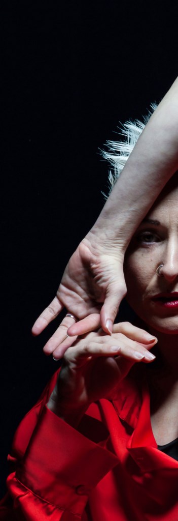 Marie-Pierre Genovese Autres activités artistiques Marie-Pierre Genovese Autres activités artistiques